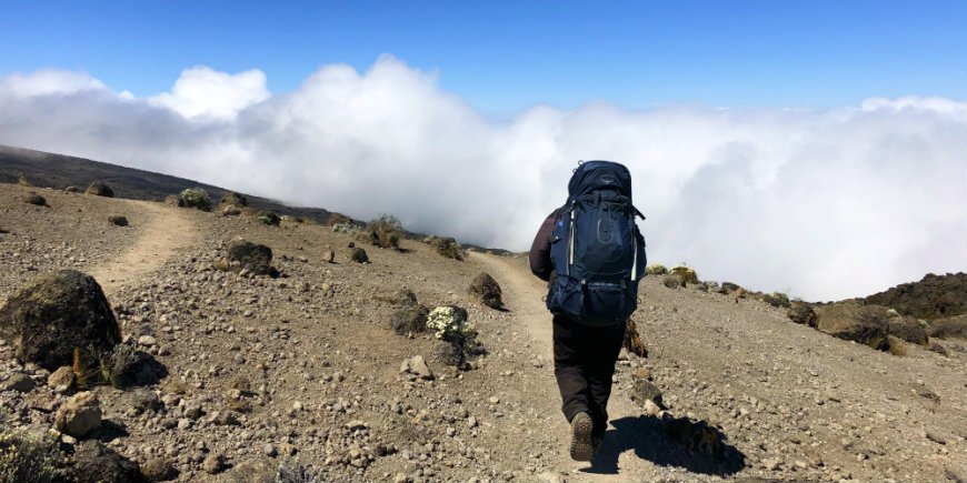 Wandelen op kilimanjaro