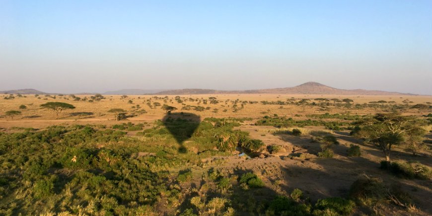 uitzicht op de serengeti
